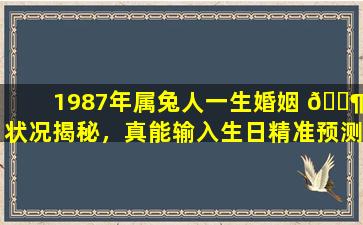 1987年属兔人一生婚姻 🐶 状况揭秘，真能输入生日精准预测